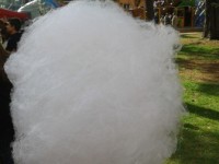 02d0ece08e_89205833_o2