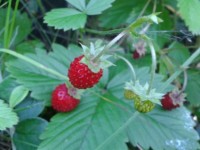 6e43e870a0_93963913_o2